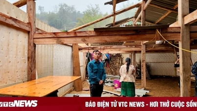 Heavy hailstorm hits Ha Giang, roofs damaged over 1,200 houses