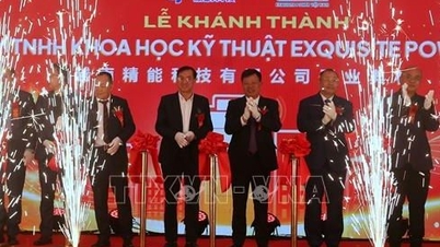 Inauguration of the 20 million USD battery installation system project in Hai Phong
