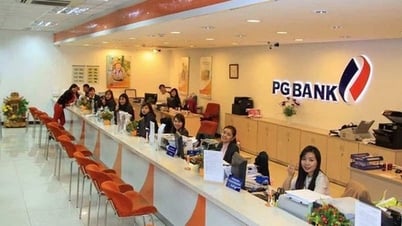 Ngân hàng PG Bank liên tiếp 11 năm không chia cổ tức