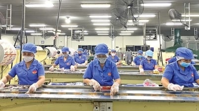 Khanh Hoa bietet rechtliche Unterstützung für kleine und mittlere Unternehmen