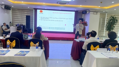 Hiệp định Đối tác kinh tế toàn diện khu vực và cơ hội xuất khẩu cho doanh nghiệp