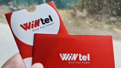 Wintel 055 សេវាបណ្តាញទូរស័ព្ទនិម្មិតត្រូវបានរំខាន