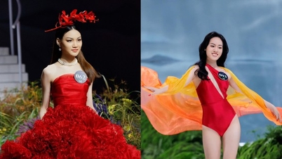 Link to watch Miss Earth Vietnam 2023 final live