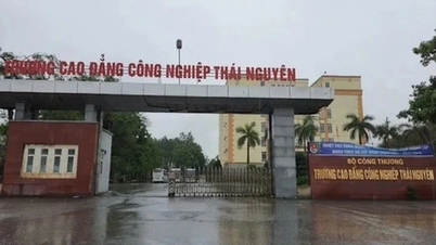 2 bệnh viện Trung ương vào cuộc làm rõ vụ nhiều học sinh ở Thái Nguyên sốt chưa rõ nguyên nhân