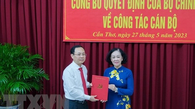 Phó Bí thư Thành ủy thành phố Hồ Chí Minh giữ chức Bí thư Thành ủy Cần Thơ