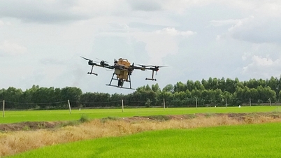 Un drone pulvérise des pesticides et se retrouve coincé dans les lignes électriques, 76 000 foyers de Long An perdent l'électricité