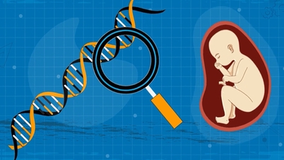 Tranh cãi xung quanh việc &#039;thiết kế em bé&#039; nhờ chỉnh sửa gene