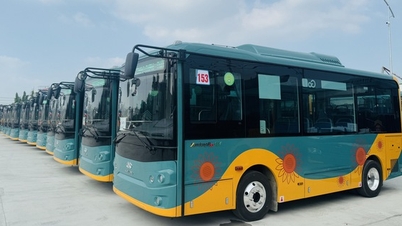 Cận cảnh đoàn xe buýt điện phục vụ metro số 1 cập bến TP.HCM