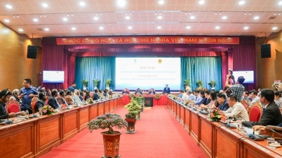 The "key" for Binh Dinh to attract Indian businesses, people and tourists