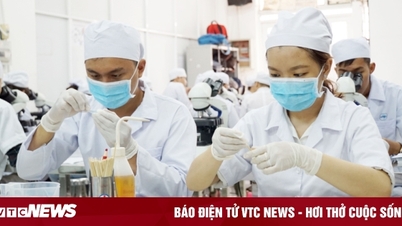 Tranh cãi tuyển sinh ngành Y bằng môn Văn: Bộ GD&ĐT lên tiếng