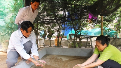 ការចិញ្ចឹមដង្កូវកាល់ស្យូមនេះនៅ Ben Tre កសិករសម្អាតផ្ទះរបស់ពួកគេ និងទទួលបានប្រាក់ចំណូលបន្ថែមដ៏ល្អ