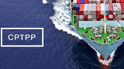 Xuất khẩu hàng hóa "nở rộ" nhờ CPTPP