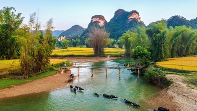 Happy Vietnam 2024 - Album 2