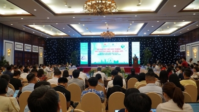 Kết nối giao thương xúc tiến xuất khẩu Đà Nẵng 2024