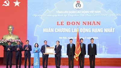Vietnam Trade Union is constantly growing, maturing, and accompanying workers.
