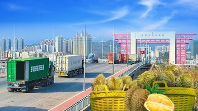 Vietnamese agricultural products receive good news from China