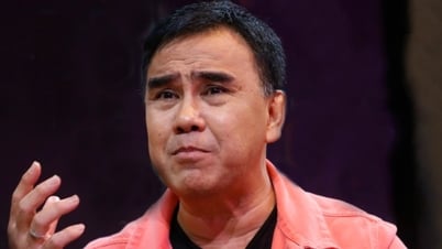 Artist Quyen Linh LLC is late in paying social insurance of more than 2.1 billion VND