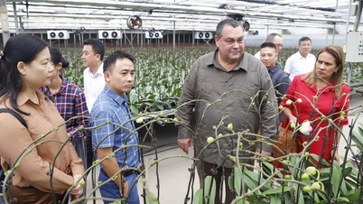 Hội Tiểu nông Cuba ấn tượng với mô hình trồng lan doanh thu hơn 100 tỷ đồng của nông dân Hải Phòng
