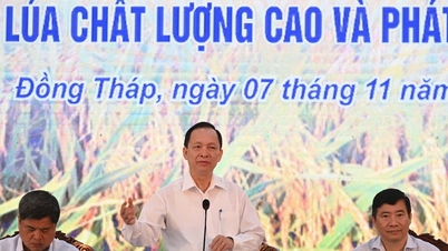 អនុវត្ត​កម្មវិធី​ឥណទាន​អនុគ្រោះ​សម្រាប់​គម្រោង​ស្រូវ​បញ្ចេញ​ឧស្ម័ន​ទាប​១​លាន​ហិកតា​