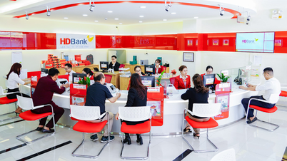 Moody's វាយតម្លៃអត្រាឥណទានរបស់ HDBank នៅ B1 ដោយវាយតម្លៃបំណុលអាក្រក់ទាប និងប្រសិទ្ធភាពខ្ពស់
