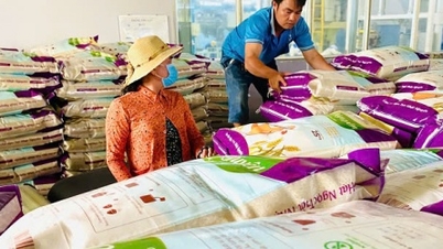 ភាគហ៊ុន Angimex ឡើងដល់កំពូលជាបន្តបន្ទាប់