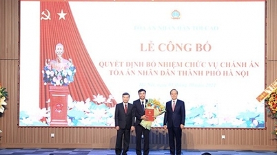 Bổ nhiệm Chánh án Tòa án nhân dân thành phố Hà Nội