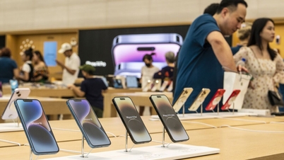 iPhone 15 lộ ngày ra mắt dự kiến