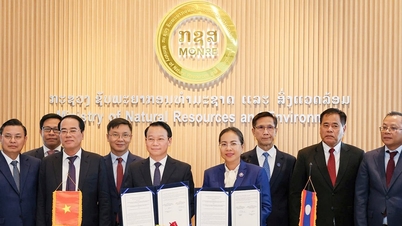 វៀតណាម-ឡាវ៖ សហការអនុវត្តការងារចំនួន ០៧ លើវិស័យធនធានធម្មជាតិ និងបរិស្ថាន