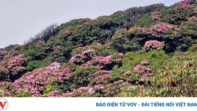 Lạc bước trên miền cổ tích trên núi Pu Ta Leng tại Lai Châu