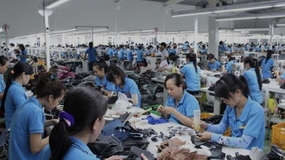 The 'key' to help businesses optimize benefits from FTAs, aiming for sustainable exports