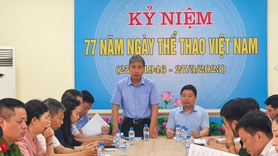 Tích cực chuẩn bị cho trận giao hữu giữa đội tuyển Việt Nam gặp Syria trên sân Thiên Trường