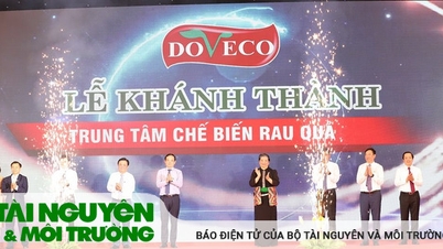 Deputy Prime Minister Tran Luu Quang attended the inauguration ceremony of Doveco Son La Vegetable and Fruit Processing Center.