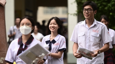 Nha Trang University announces academic transcript benchmarks and capacity assessment