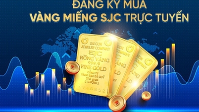 ការទិញដុំមាស SJC តាមអ៊ីនធឺណិត មនុស្ស 20-30 នាក់បោះបង់ប្រតិបត្តិការជារៀងរាល់ថ្ងៃ