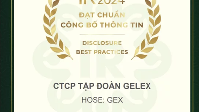 GELEX បន្តស្ថិតក្នុងលំដាប់កំពូលនៃសហគ្រាសដែលបំពេញតាមស្តង់ដារការបង្ហាញព័ត៌មានក្នុងឆ្នាំ 2024