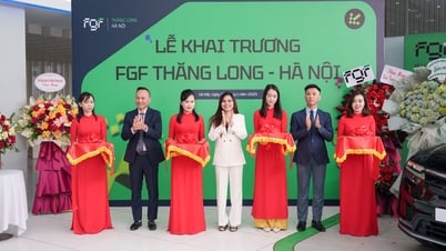 FGF លក់រថយន្តអគ្គិសនីប្រើរួច Vinfast ជាផ្លូវការ