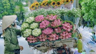 សំឡេងស្ងប់ស្ងាត់នៃចិញ្ចើមផ្លូវហាណូយនាពេលកន្លងមក