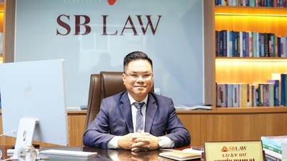 Temu លក់​ទំនិញ​ចូល​ទៅ​ក្នុង​ប្រទេស​វៀតណាម​ដោយ​គ្មាន​ការ​អនុញ្ញាត៖ តើ​ភ្នាក់ងារ​គ្រប់គ្រង​ត្រូវ​ទទួល​ខុស​ត្រូវ​អ្វី?