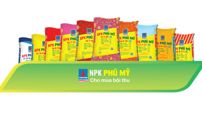 បំពេញសំណុំផលិតផលដោយបេះដូង
