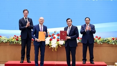 เวียดนามและเนเธอร์แลนด์จะร่วมมือกันสำรวจและแสวงประโยชน์แร่ธาตุที่สำคัญ