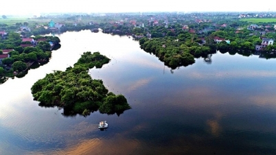 Many interesting activities at Chi Lang Nam Stork Island, Hai Duong province