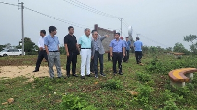 RAMID Hotel Group researches golf course, resort and academy project in Binh Dinh