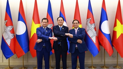 នាយករដ្ឋមន្ត្រីវៀតណាម-ឡាវ