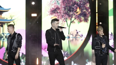 BTC concert Westlife xin lỗi khán giả vì sự cố lều kỹ thuật, sẽ khắc phục trong đêm diễn thứ hai