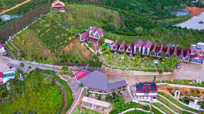 នាយកដ្ឋាន​សំណង់​ចុះ​ពិនិត្យ