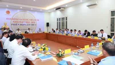 បេក្ខជន​សាស្ត្រាចារ្យ​ក្មេង​បំផុត​ក្នុង​ឆ្នាំ ២០២៤ មក​ពី​ណាម ឌិញ