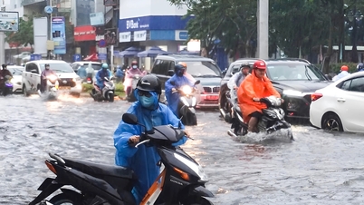 Dự báo thời tiết 21/11/2024: Miền Trung mưa lớn