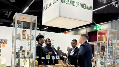 Sản phẩm hữu cơ Việt Nam "hút khách" tại Biofach 2024