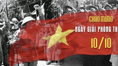 [Video] Vietnam War Report: Liberation of the Capital