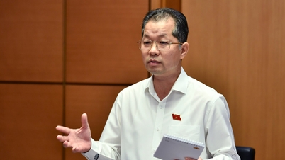 다낭은 위험을 감수하고, 생각하고, 자유무역지구를 시범적으로 운영할 용기가 있습니다.